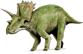 Anchiceratops ANCHICERATOPS DinoChecker dinosaur archive