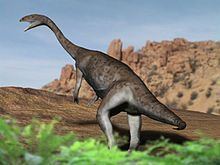 Anchisaurus httpsuploadwikimediaorgwikipediacommonsthu
