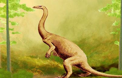 Anchisaurus Anchisaurus dinosaur facts pictures Anchisaurus information