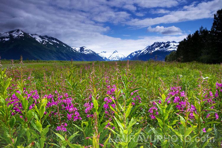 Anchorage, Alaska Beautiful Landscapes of Anchorage, Alaska