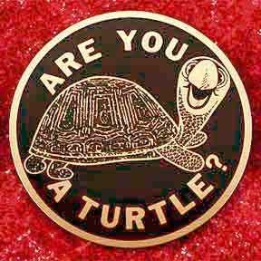 Ancient and Honorable Order of Turtles Are You A Turtle Related Keywords amp Suggestions Are You A Turtle