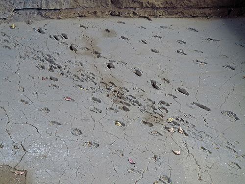 Ancient footprints of Acahualinca Nicaragua Managua Granada Travel Stories Articles Photos