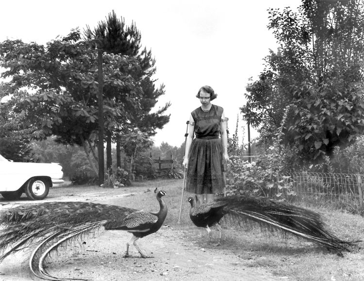 Andalusia (Milledgeville, Georgia) Flannery O39Connor39s Andalusia Farm receives 30000 gift AJC