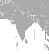 Andaman spiny shrew httpsuploadwikimediaorgwikipediacommonsdd