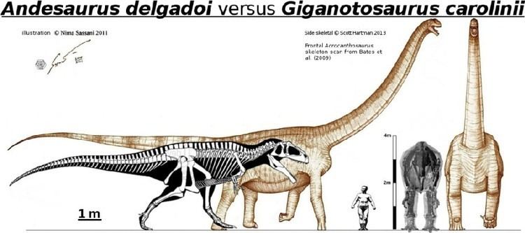 Andesaurus Andesaurus Pictures amp Facts The Dinosaur Database