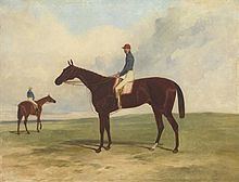 Andover (horse) httpsuploadwikimediaorgwikipediacommonsthu