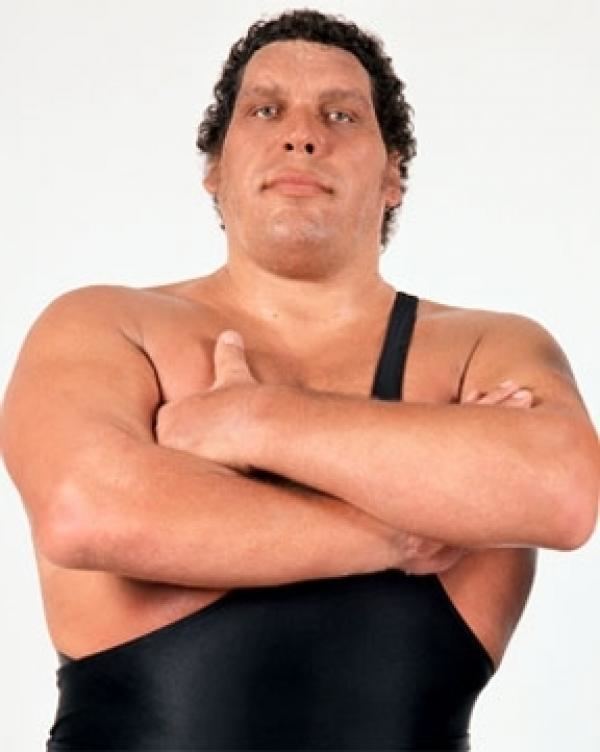 Andre the Giant wwwprofightdbcomimgwrestlersthumbs600c2c099