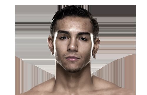Andre Fili UFC 179 Fight Breakdown Andre Fili vs Felipe Arantes