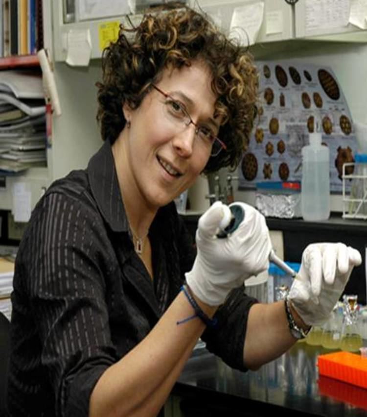 Andrea Gamarnik Spotlight on the Scientist Andrea Gamarnik the first Argentinian