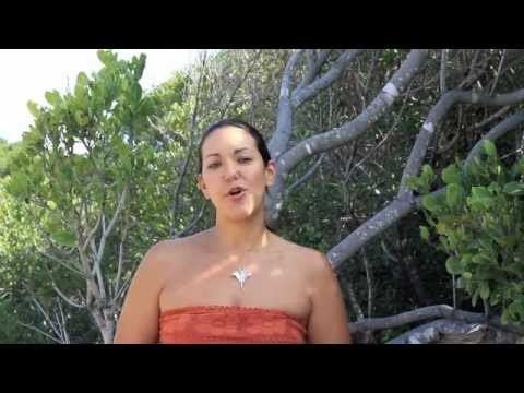 Andrea Marshall Introduction to Under Water Africa Dr Andrea Marshall YouTube