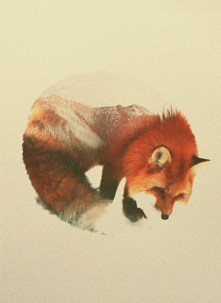 Andreas Lie Double Exposure Animal Portraits by Andreas Lie