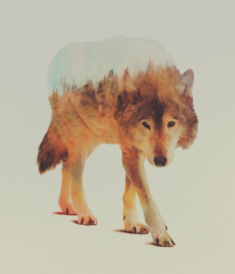Andreas Lie Double Exposure Animal Portraits by Andreas Lie Colossal
