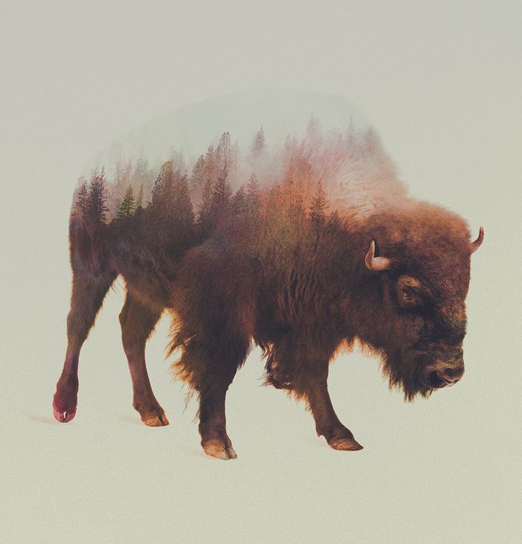 Andreas Lie Double Exposure Animal Portraits by Andreas Lie Colossal