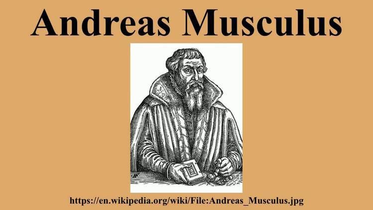 Andreas Musculus Andreas Musculus YouTube