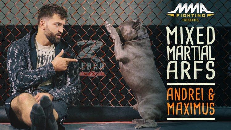 Andrei Arlovski Mixed Martial Arfs Andrei Arlovski and Maximus YouTube