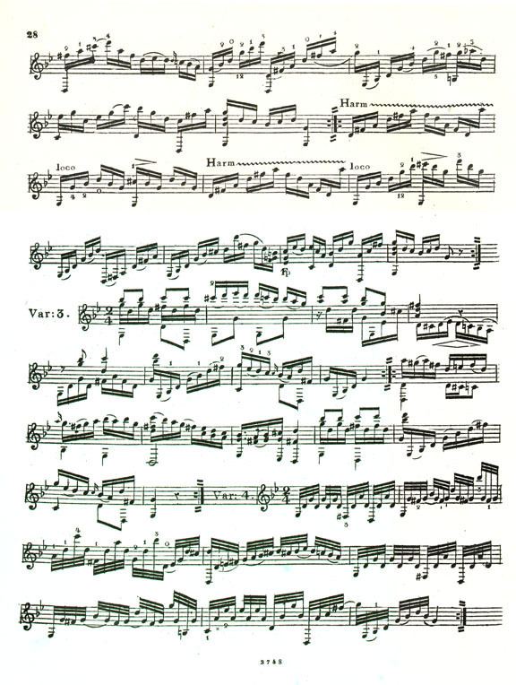 Andrei Sychra Andrei Sychra variations on Of All the Flowers I loved the Rose the