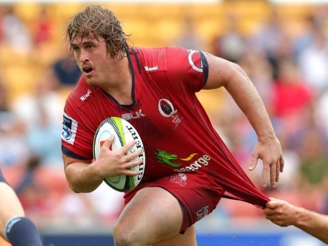Andrew Ready Queensland Reds Current hooker Andrew Ready welcomes Stephen