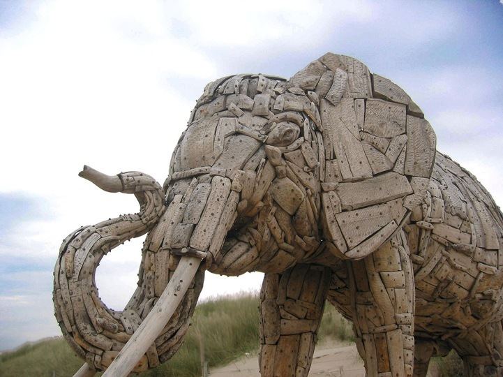 Andries Botha (artist) Majestic Driftwood Elephant Sculptures