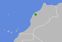 Androctonus maroccanus httpsuploadwikimediaorgwikipediacommonsthu