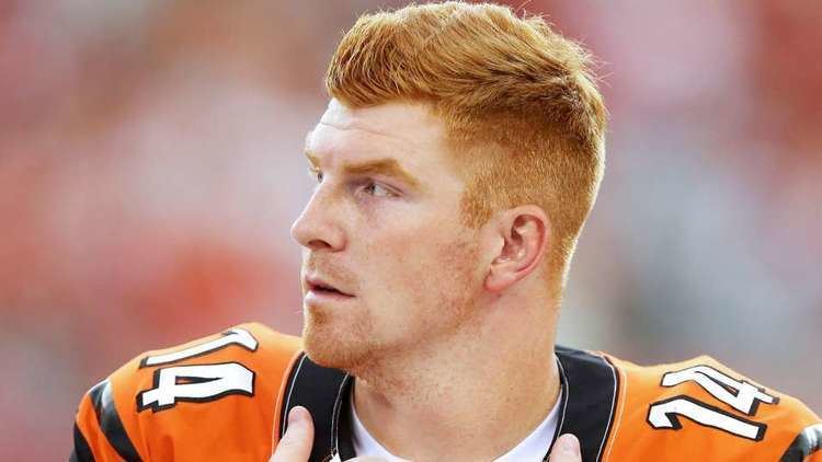 Andy Dalton An Open Letter To Andy Dalton The Odyssey