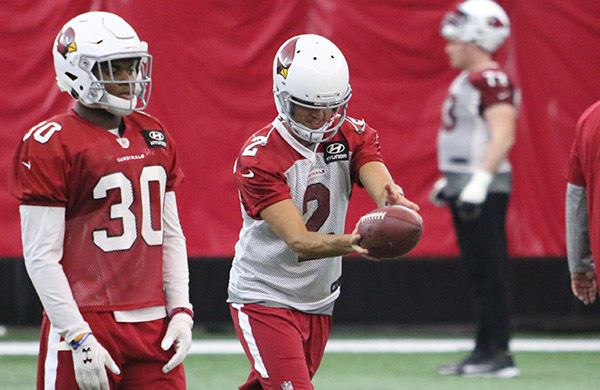 Andy Lee (American football) Cardinals Sign Punter Andy Lee