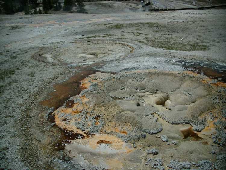 Anemone Geyser South Anemone Geyser Details Yellowstone Research Coordination