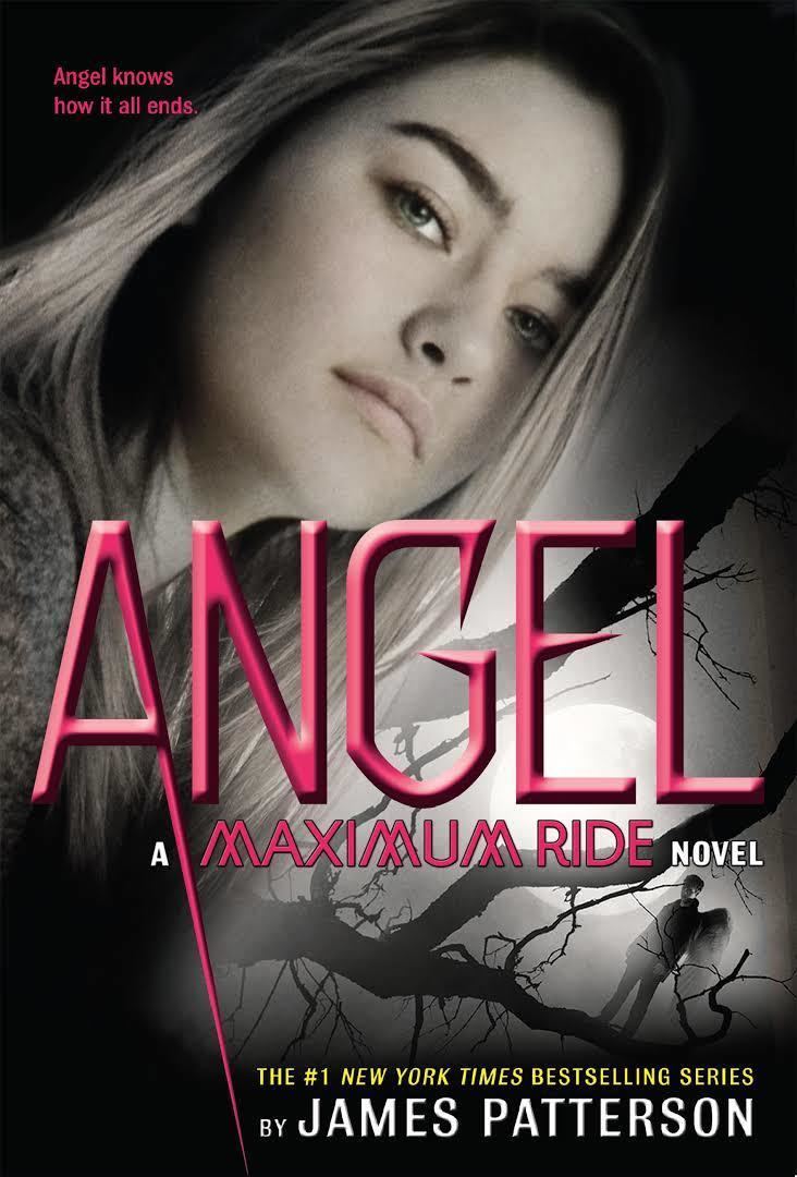 Angel: A Maximum Ride Novel t2gstaticcomimagesqtbnANd9GcSsWHDwVZrxwT6He