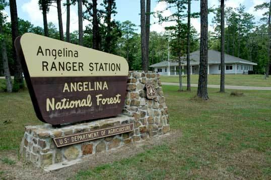 Angelina National Forest