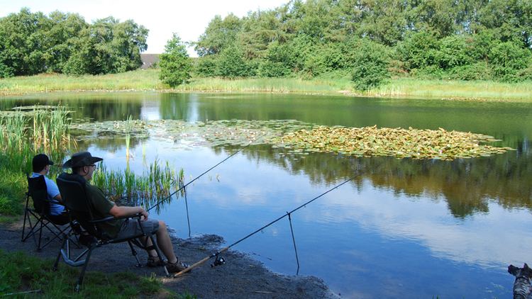 Angeln Urlaub in Ostfriesland Aktivitten im Wasser Angeln Fische