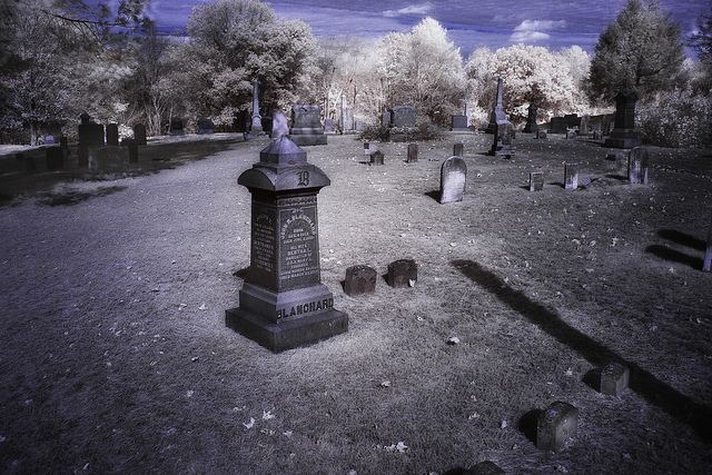 An illustration of the witch town in the USA with graves and surrounded by trees.