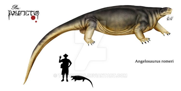 Angelosaurus img12deviantartnet4b33i201512221angelosau