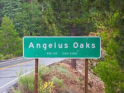 Angelus Oaks, California httpsuploadwikimediaorgwikipediacommonsthu