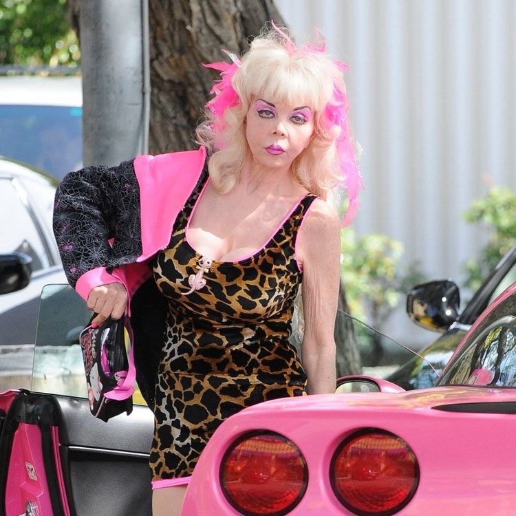 Angelyne wearing a black and pink jacket with spiderweb design and leopard mini dress while holding her hello kitty bag