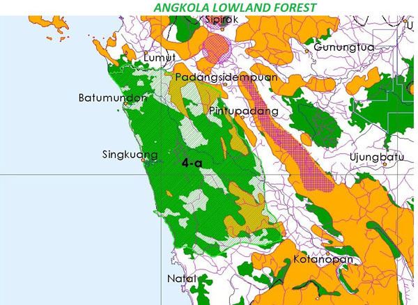 Angkola people HUTAN DARATAN RENDAH ALAM ANGKOLA TFCA Sumatera