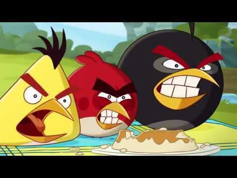 Angry Birds Toons Angry birds toons the truce episode 49 season 1 YouTube