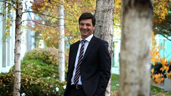 Angus Taylor (politician) Smart rich charming Angus Taylor made to stand The