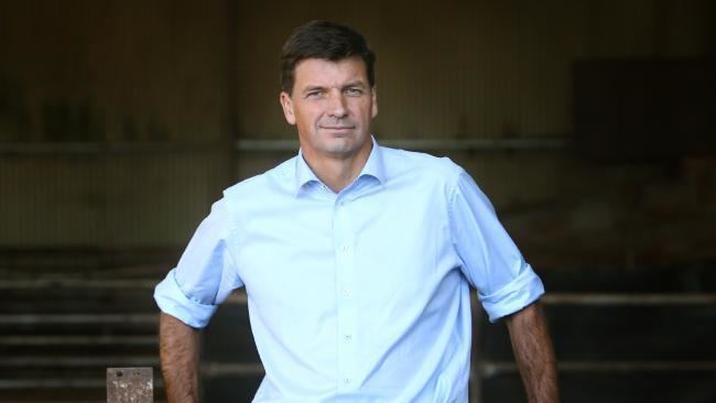 Angus Taylor (politician) Coalition on brink of new defection crisis over Angus Taylor