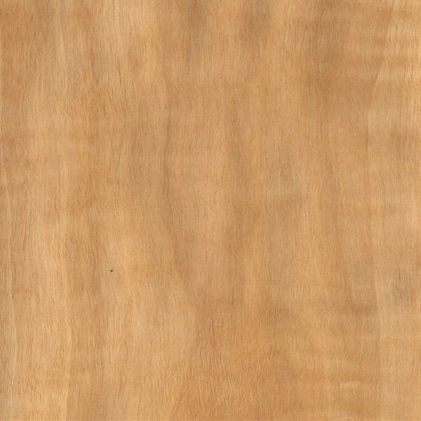 Anigre Anigre The Wood Database Lumber Identification Hardwood