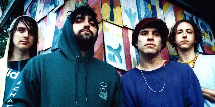 Animal Collective The Strangest Trip Animal Collective on the Legacy of Animal