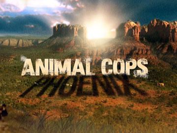 Animal Cops: Phoenix 1000 images about Animal Cops on Pinterest