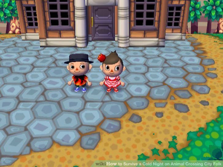Animal Crossing: City Folk How to Survive a Cold Night on Animal Crossing City Folk 15 Steps