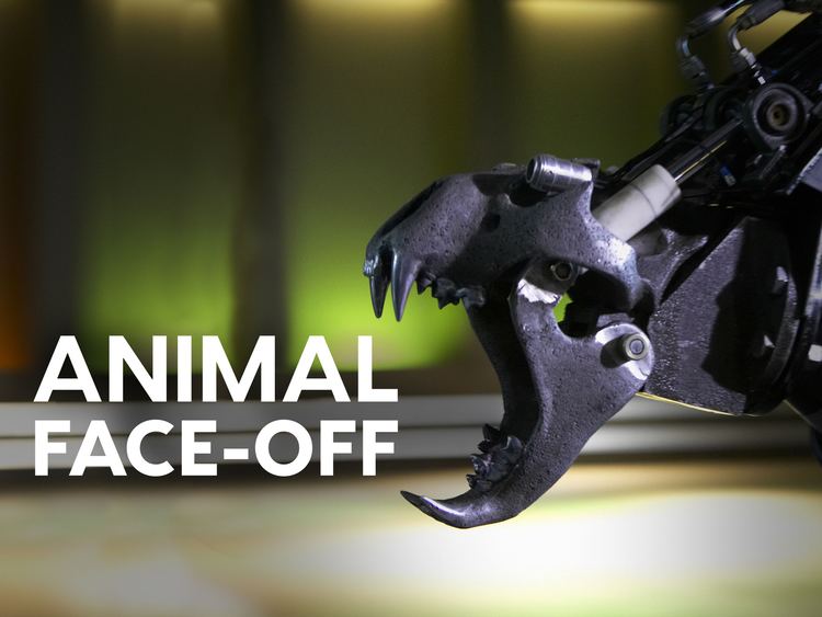 Prime Video: Animal Face-Off - Season 1