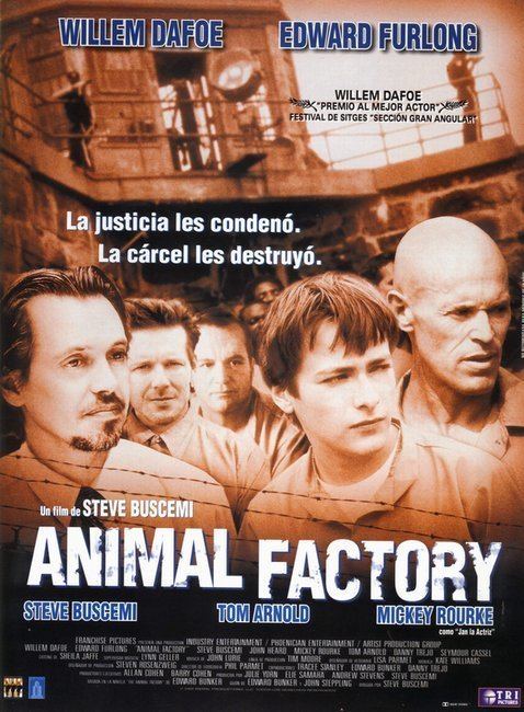 Animal Factory Picture of Animal Factory