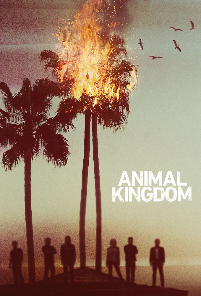 Animal Kingdom (TV series) - Alchetron, the free social encyclopedia