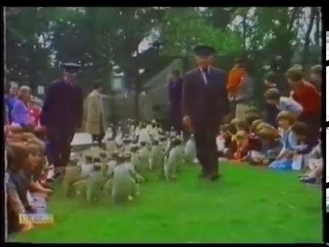 Animal Magic (TV series) Animal Magic Johnny Morris Terry Nutkins Complete episode