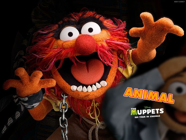 Animal (Muppet) 1000 ideas about Animal Muppet on Pinterest The muppets The