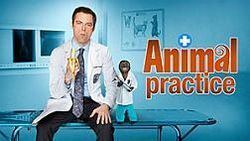 Animal Practice Animal Practice Wikipedia