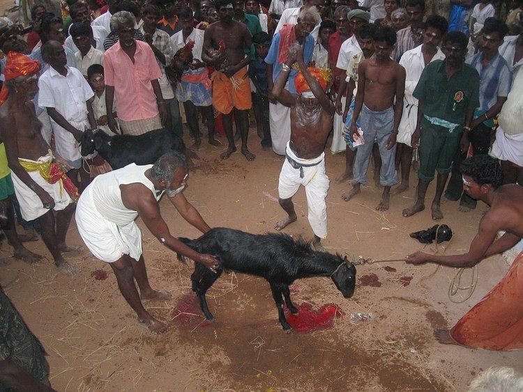 Animal sacrifice in Hinduism