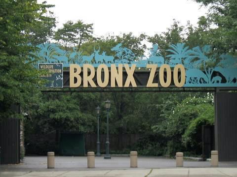 Animal theme park