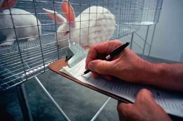 Animal welfare in the United States